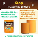 Pumpkin Powder for Dogs Digestive Support