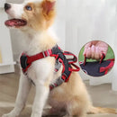 Explosion-Proof Big Dogs Harnesses