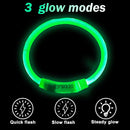 Dog Light up Collar LED Collar Emerald Green