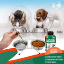 Natural Herbal Antibiotics for Cats and Dogs