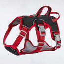 Explosion-Proof Big Dogs Harnesses