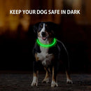 Dog Light up Collar LED Collar