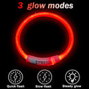 Dog Light up Collar LED Collar Scarlet