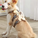 Explosion-Proof Big Dogs Harnesses