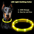 Dog Light up Collar LED Collar
