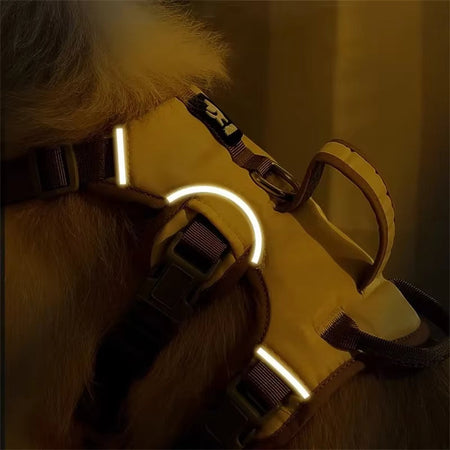 Pet Tracking & Safety