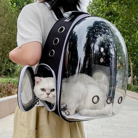 Pet Travel & Outdoor