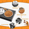 Adjustable Height Double Elevated Dog Bowls