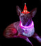 Dog Light up Collar LED Collar