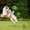 Interactive Dog Attention Toy Fun Giggle Sounds Ball