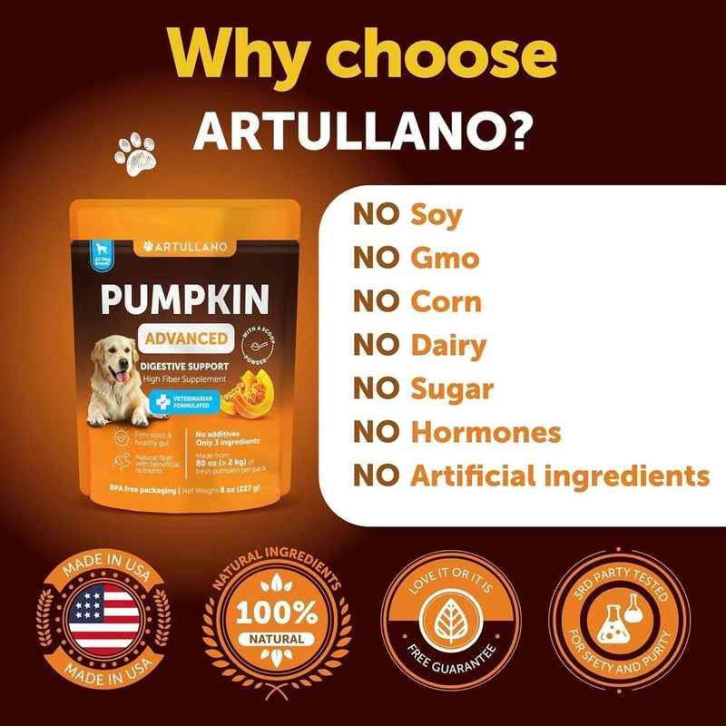 Pumpkin Powder for Dogs Digestive Support