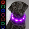 Dog Light up Collar LED Collar
