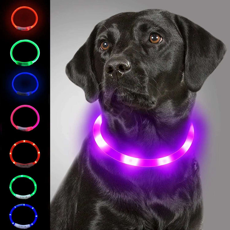Dog Light up Collar LED Collar
