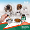 Natural Herbal Antibiotics for Cats and Dogs