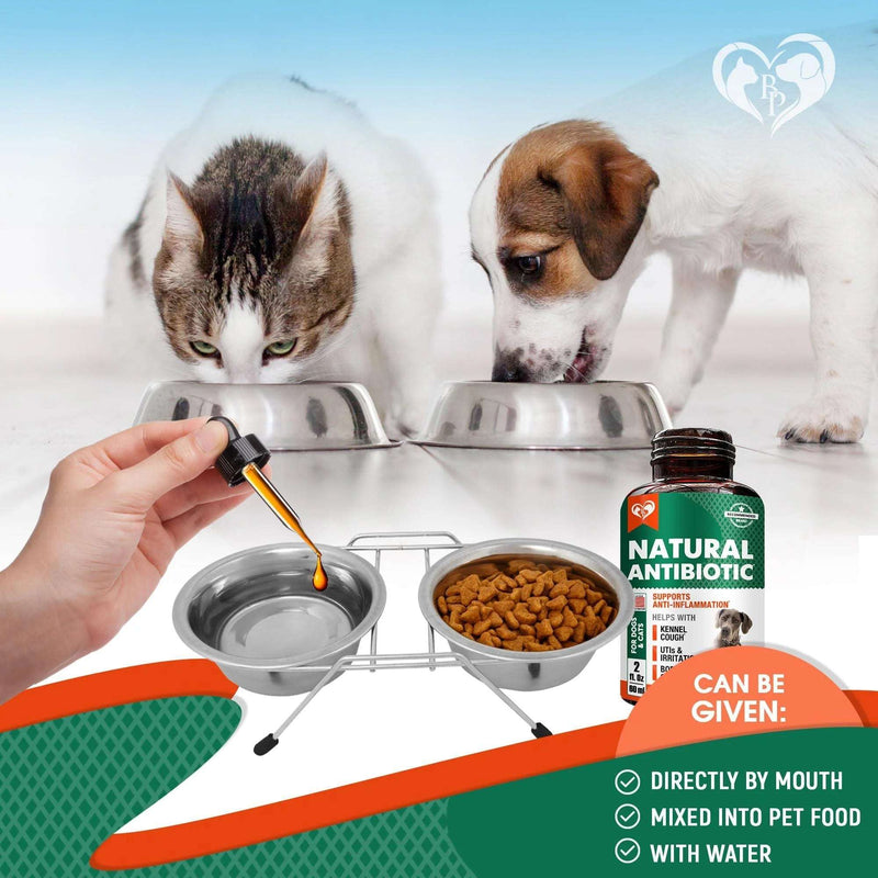 Natural Herbal Antibiotics for Cats and Dogs
