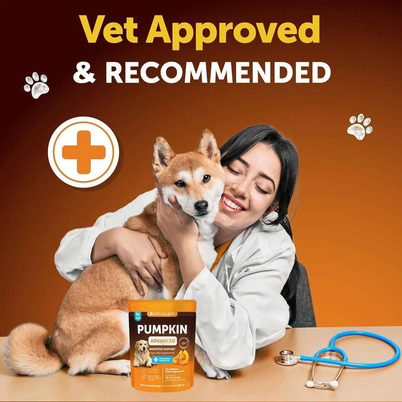 Pumpkin Powder for Dogs Digestive Support