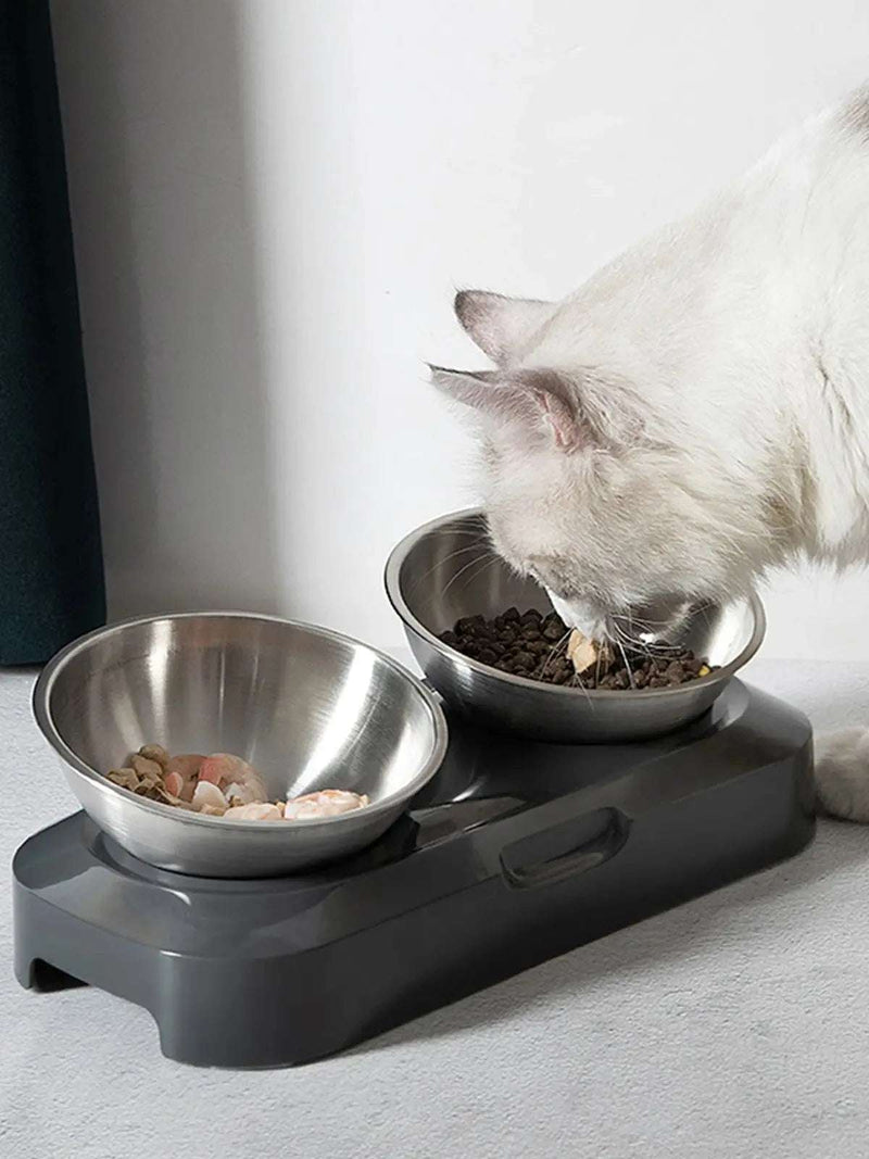Creative Inclined Stainless Steel Cat and Dog Feeding Bowls