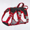 Explosion-Proof Big Dogs Harnesses