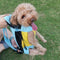 Adjustable Mesh Pet Backpack