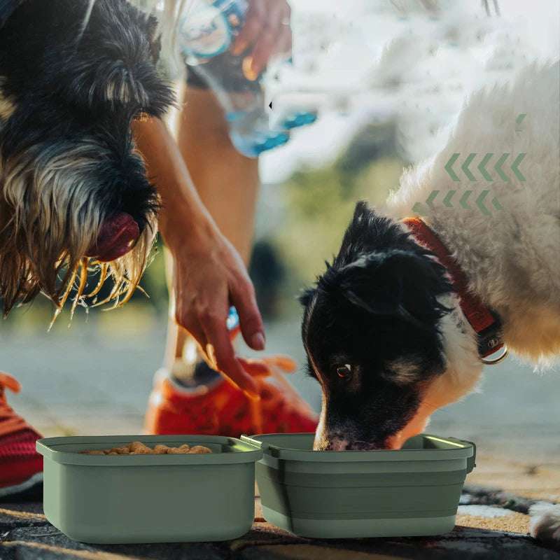 Portable Double Bowls Dog Feeder