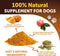 Pumpkin Powder for Dogs Digestive Support