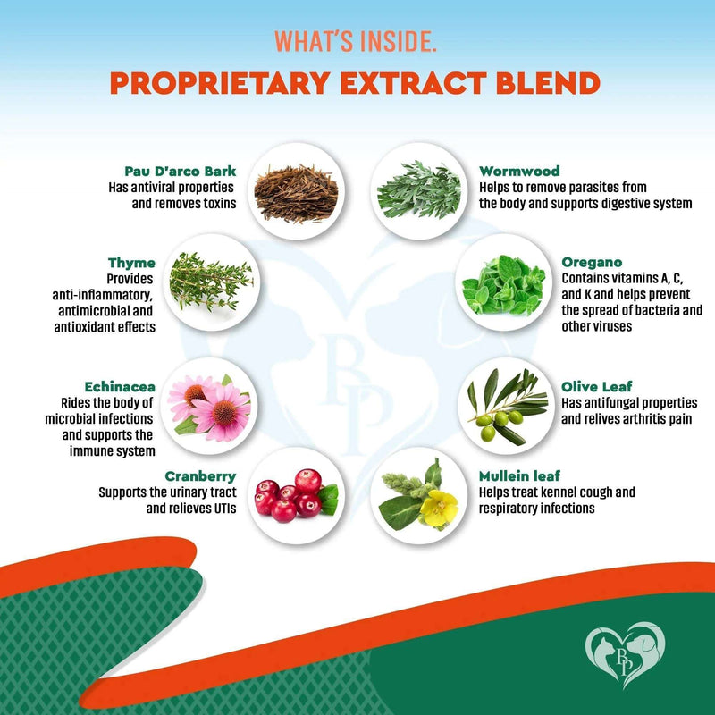 Natural Herbal Antibiotics for Cats and Dogs
