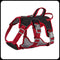 Explosion-Proof Big Dogs Harnesses Black