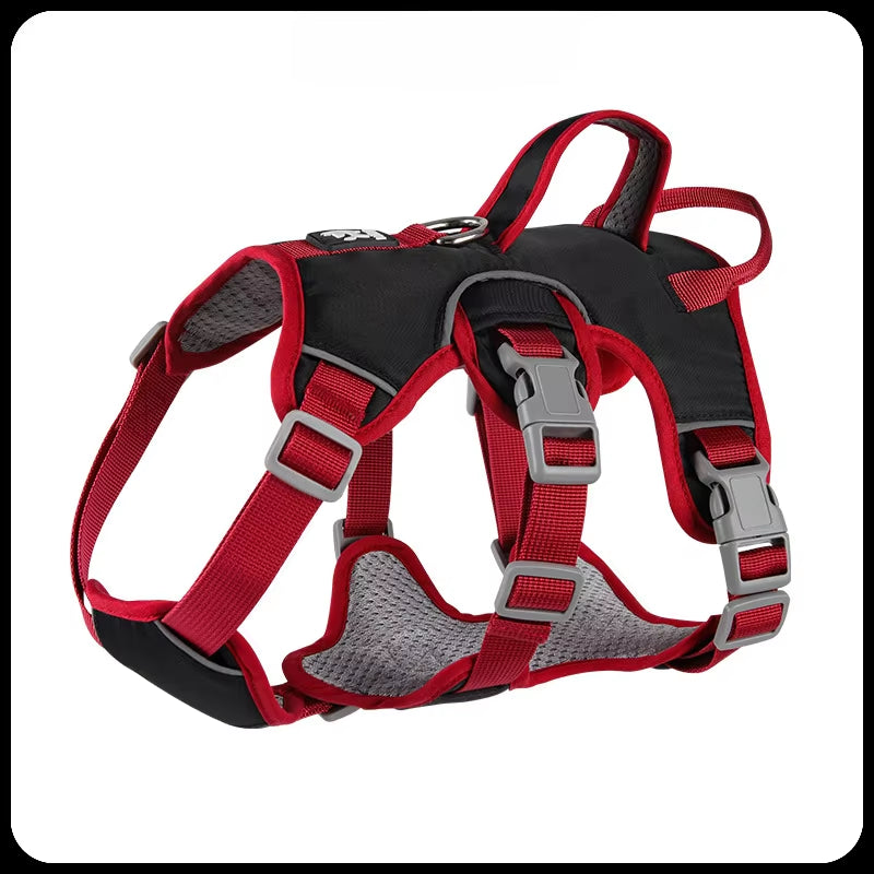 Explosion-Proof Big Dogs Harnesses Black