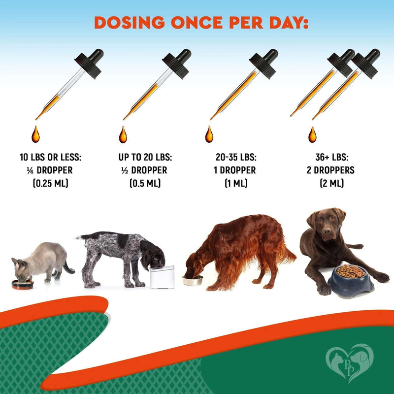 Natural Herbal Antibiotics for Cats and Dogs