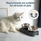 Creative Inclined Stainless Steel Cat and Dog Feeding Bowls