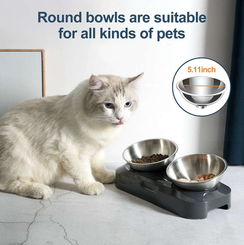 Creative Inclined Stainless Steel Cat and Dog Feeding Bowls