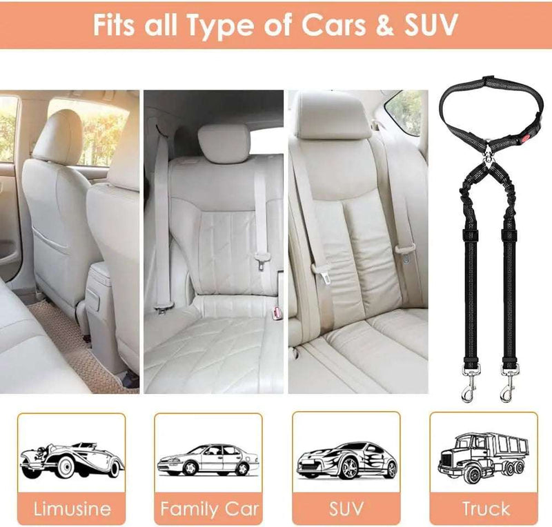Double-Headed Dog Safety Belt